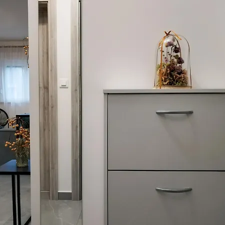 App Oasis D Gimino * Žminj